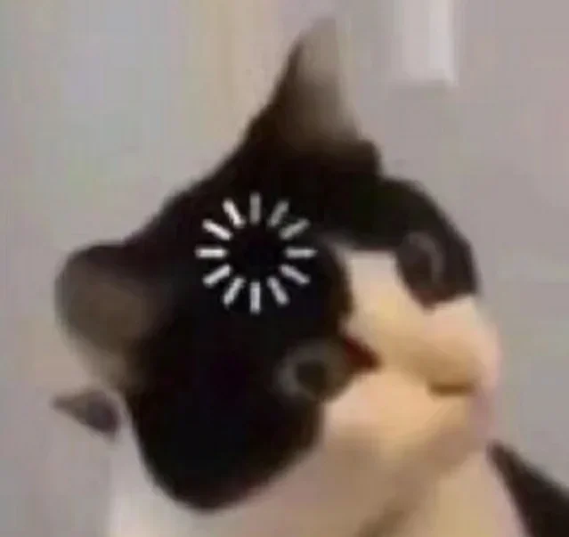 其实国企春招的眞相就是菜鸡互啄