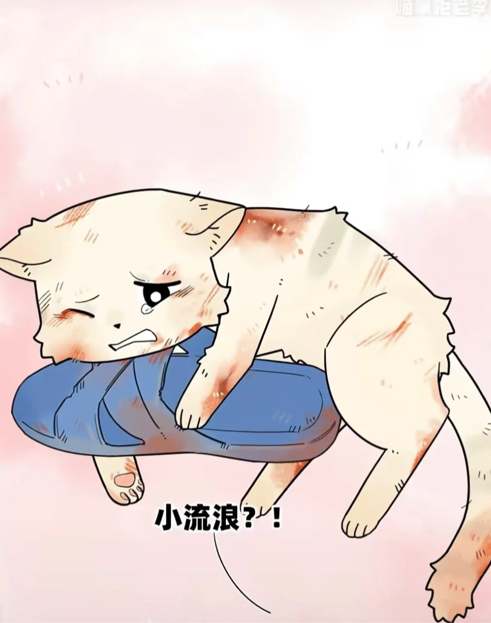 广州市事业单位招聘来了！156人，全部编制→