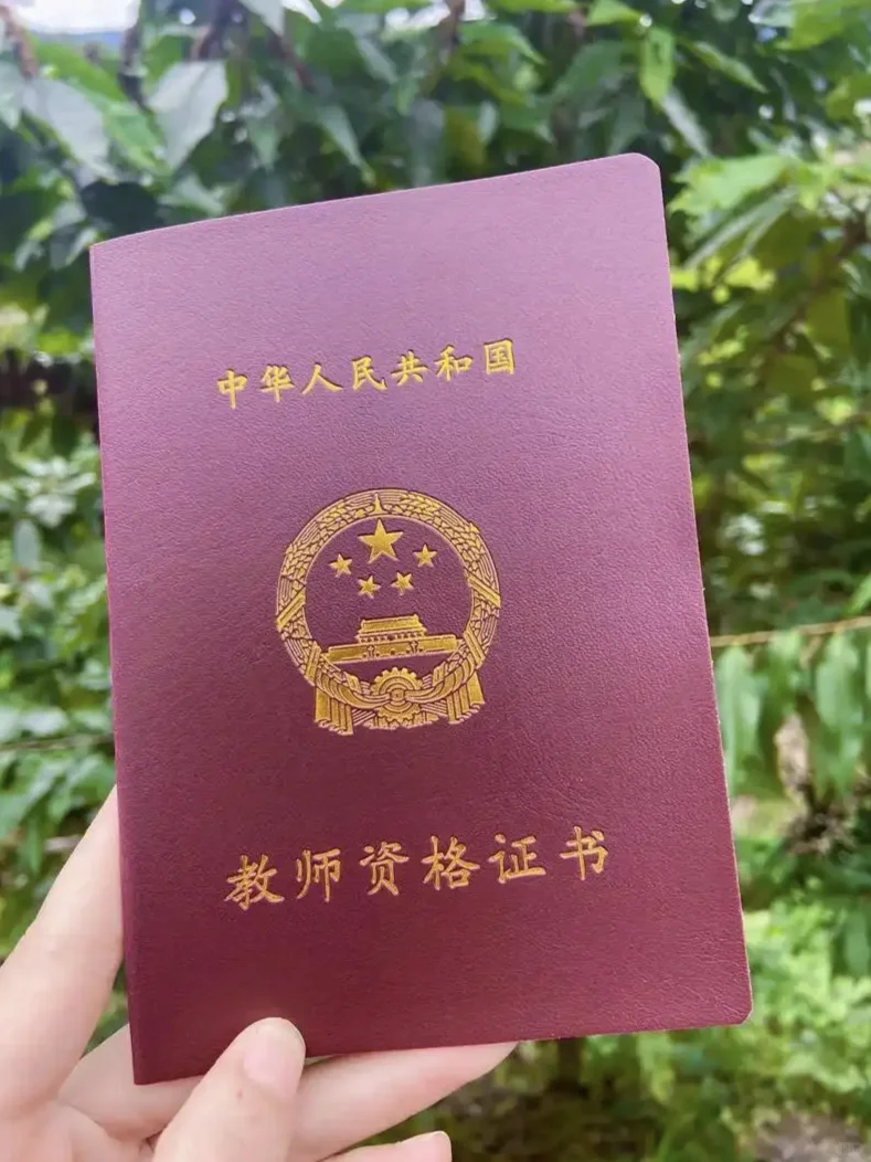 真无语，谁告诉你有教资证就能当老师了？