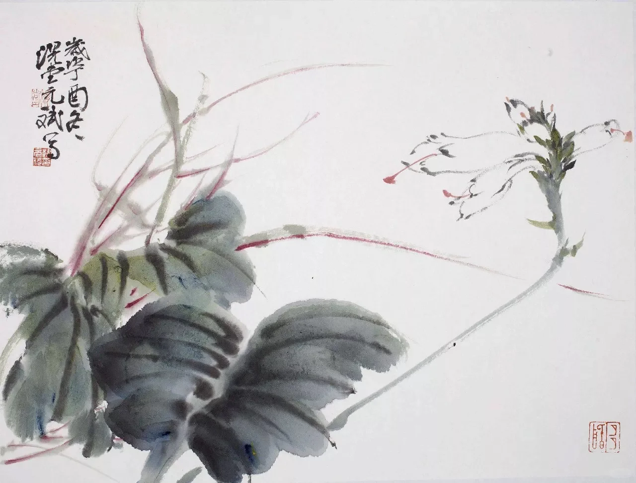 滉堂墨记｜花草溪流