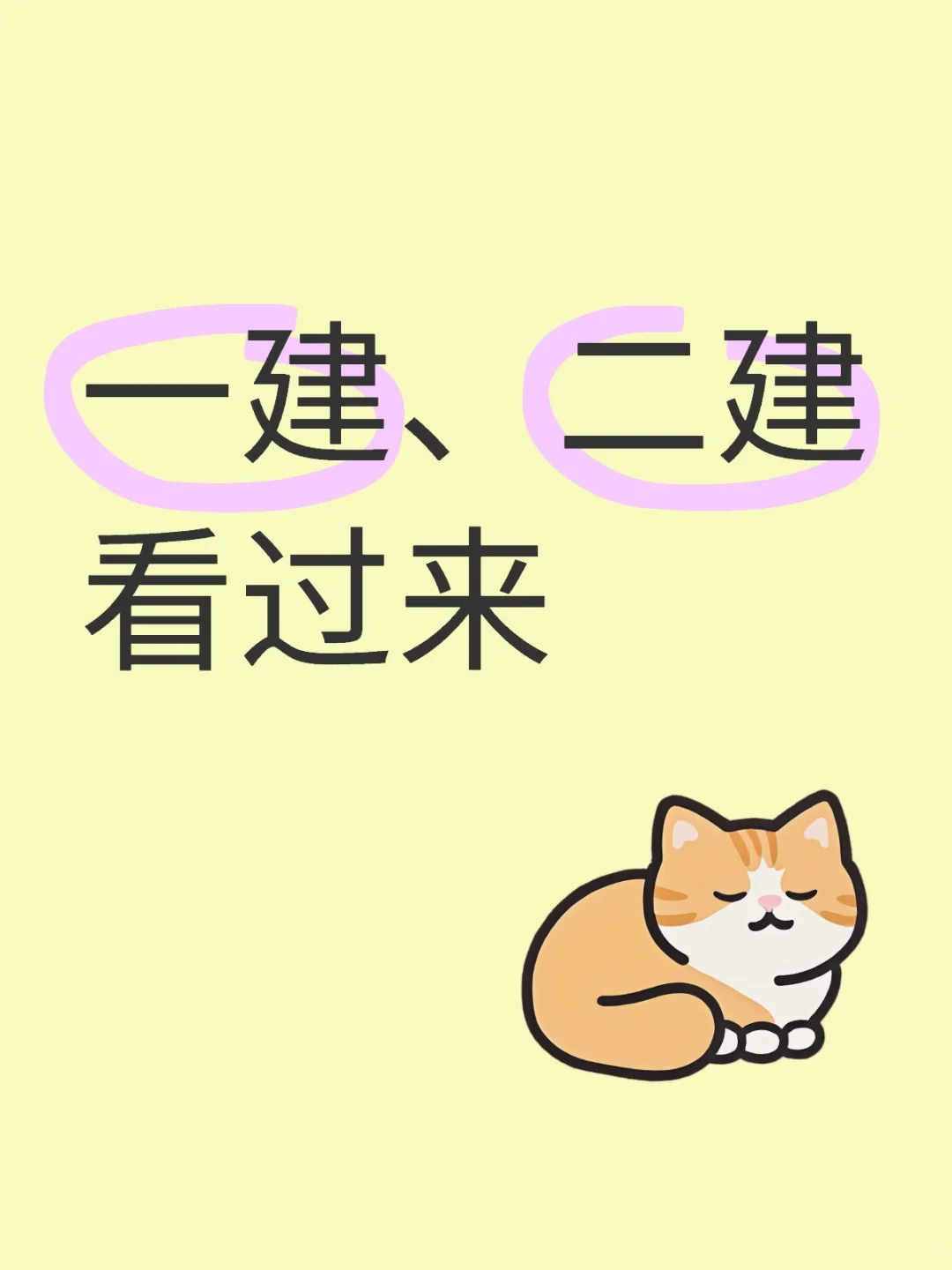 看过来!看过来!