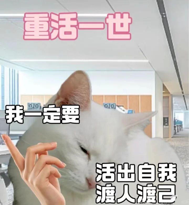 听说小红书招聘比boss管事～我看看(●—●)