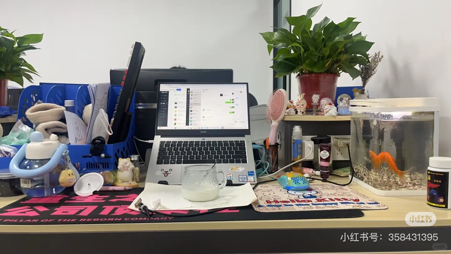 邯郸的长白班轻松岗位🙋