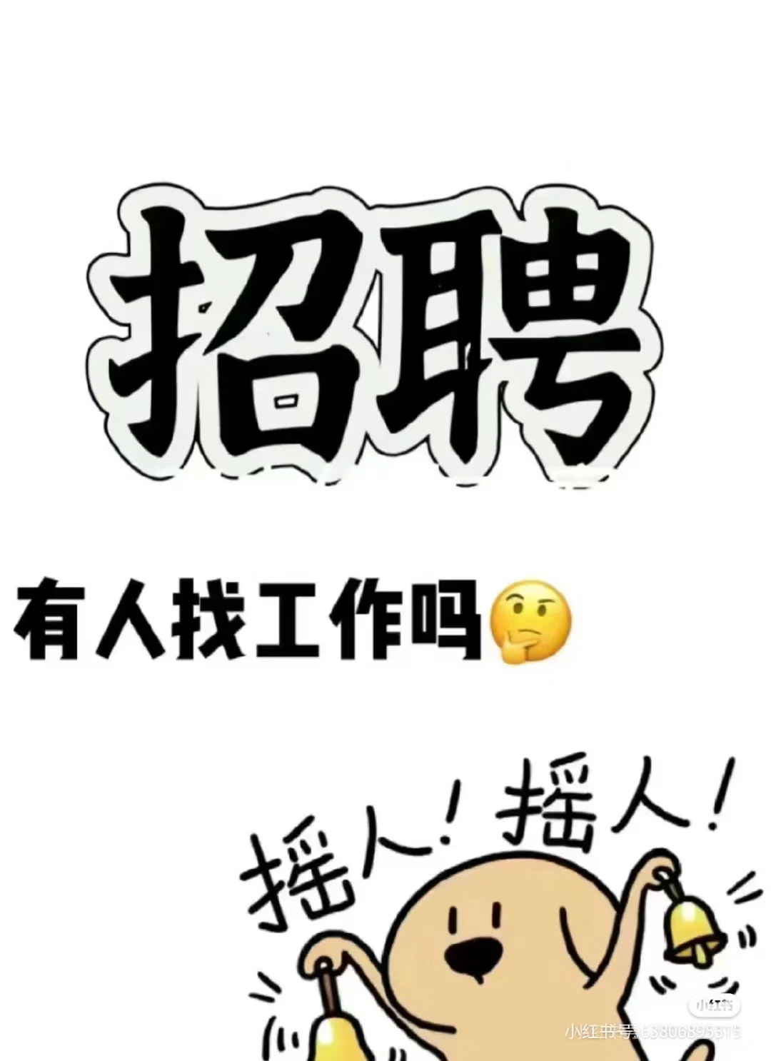 招宠物美容师啦