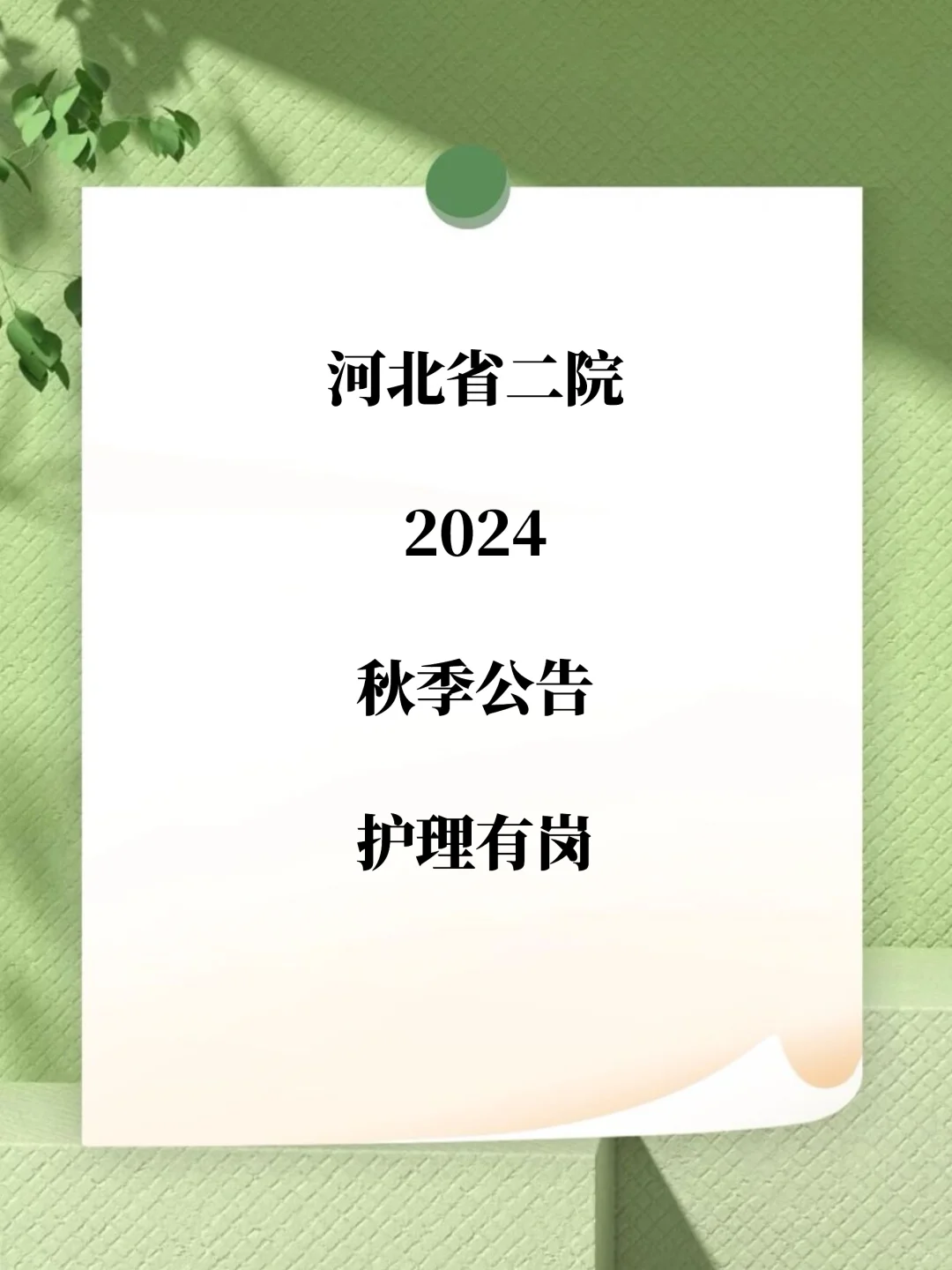 河北省第二医院秋季公告召护理