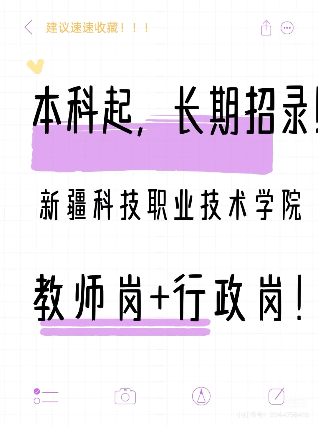 本科起新疆专科教师/行政招160+人