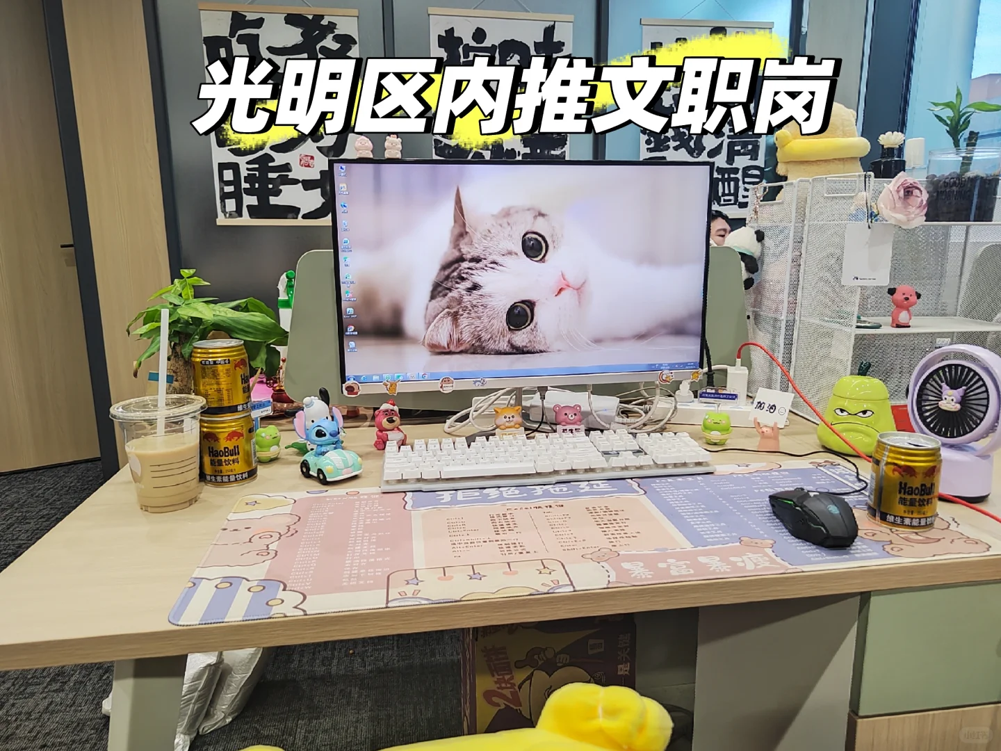 光明内推文职岗