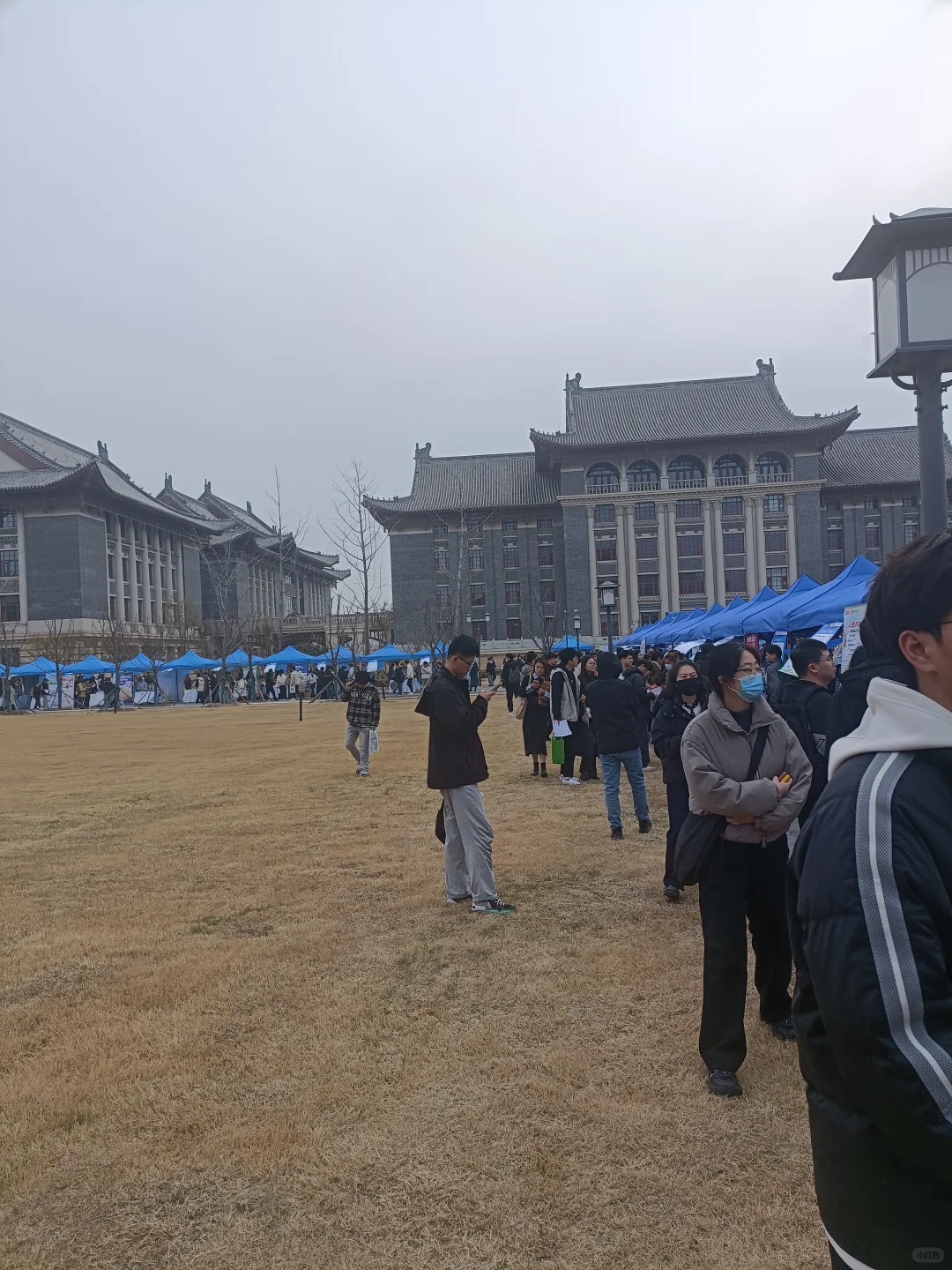 河大新区招聘会