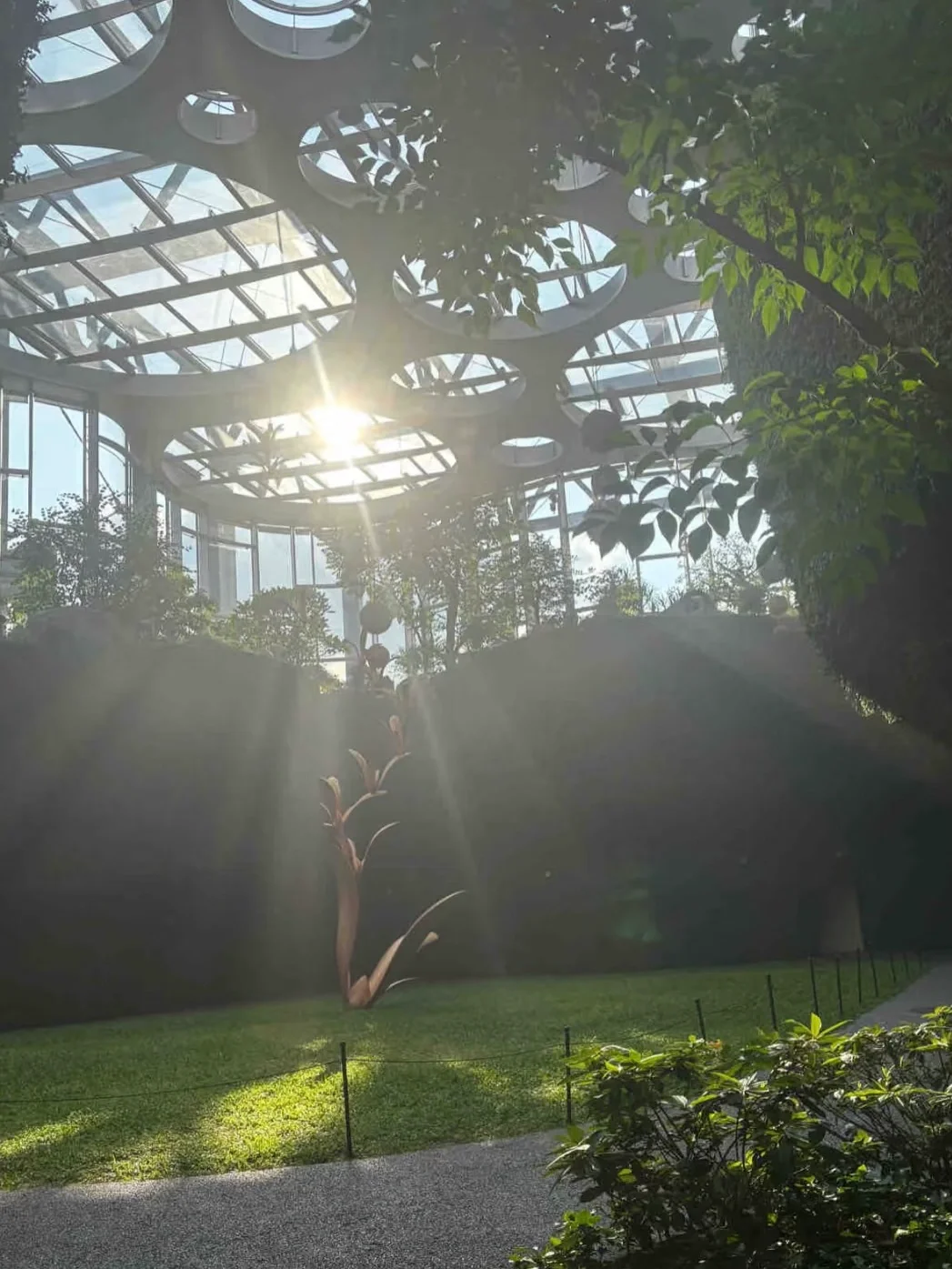 冷门但小众好进：唐山外企