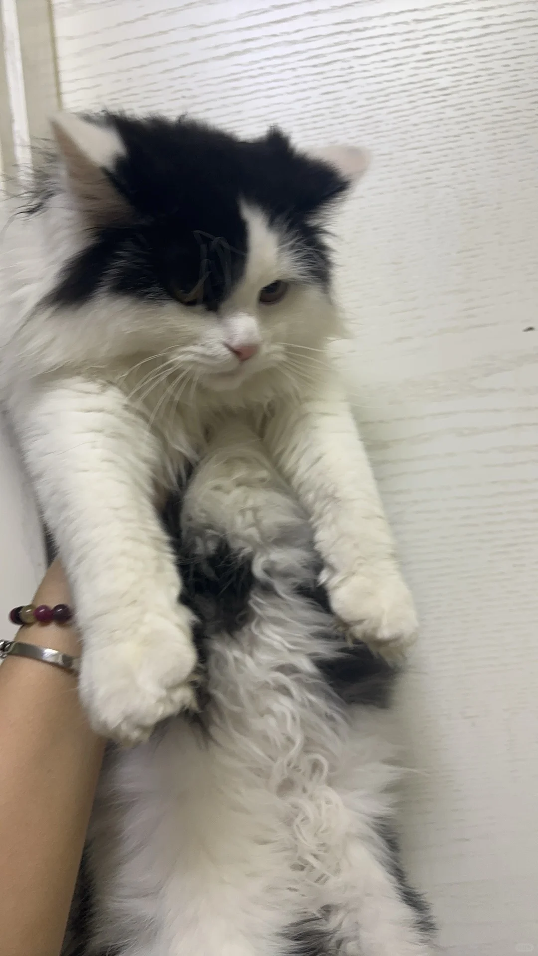 河北省衡水市河道治理项目