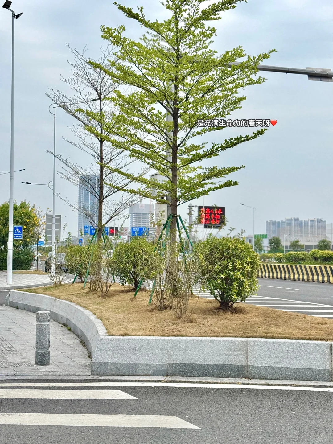 广州8.5k｜内容策划｜上周6大品牌营销案例