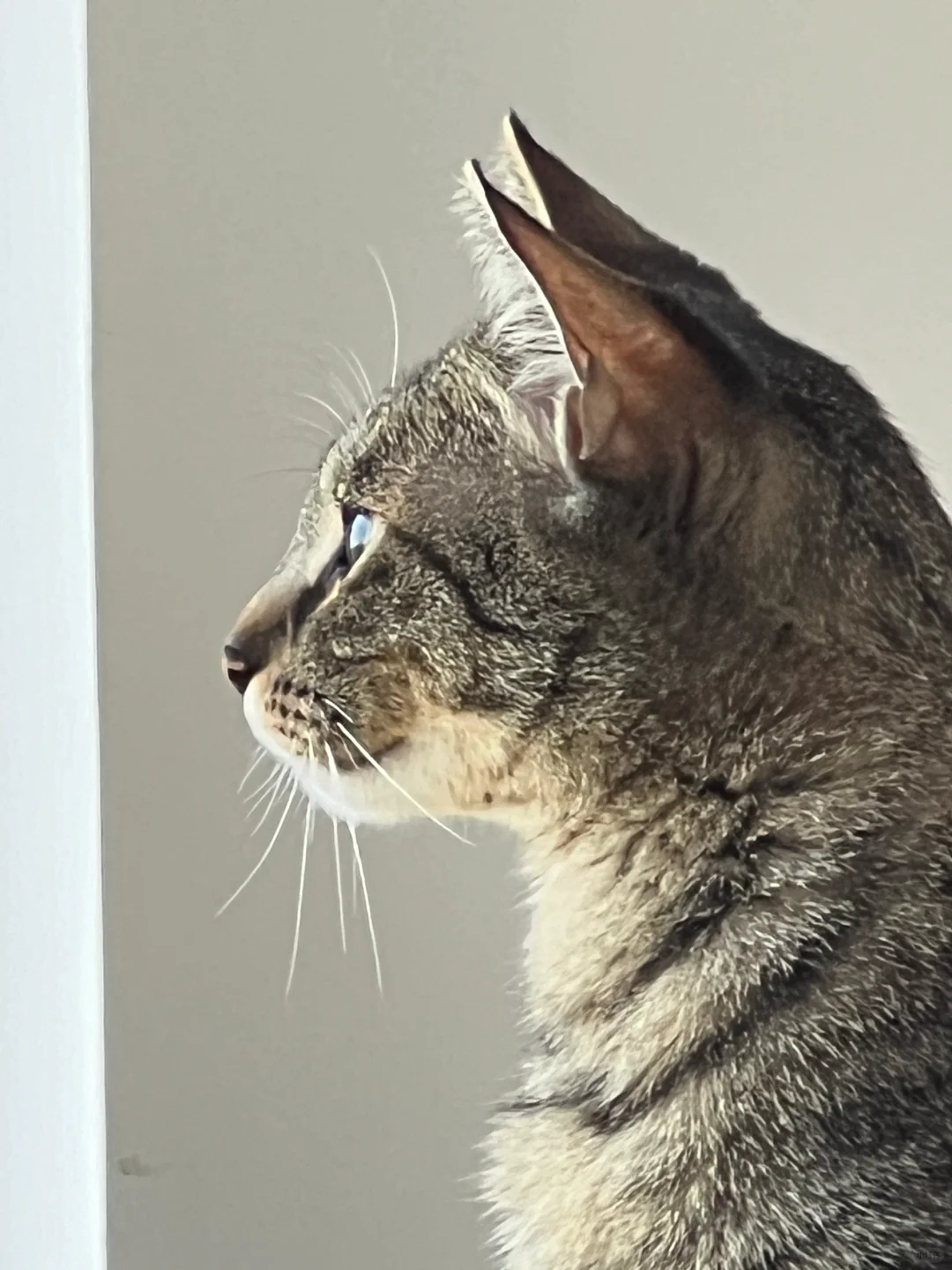 求问职来职聘靠谱吗