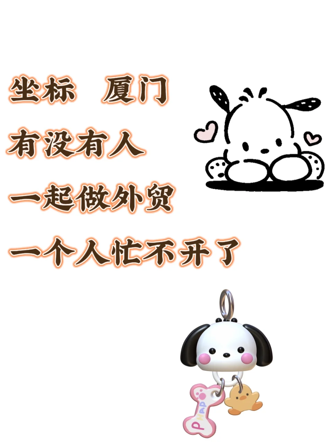 地区厦门，d，u，n个搭子