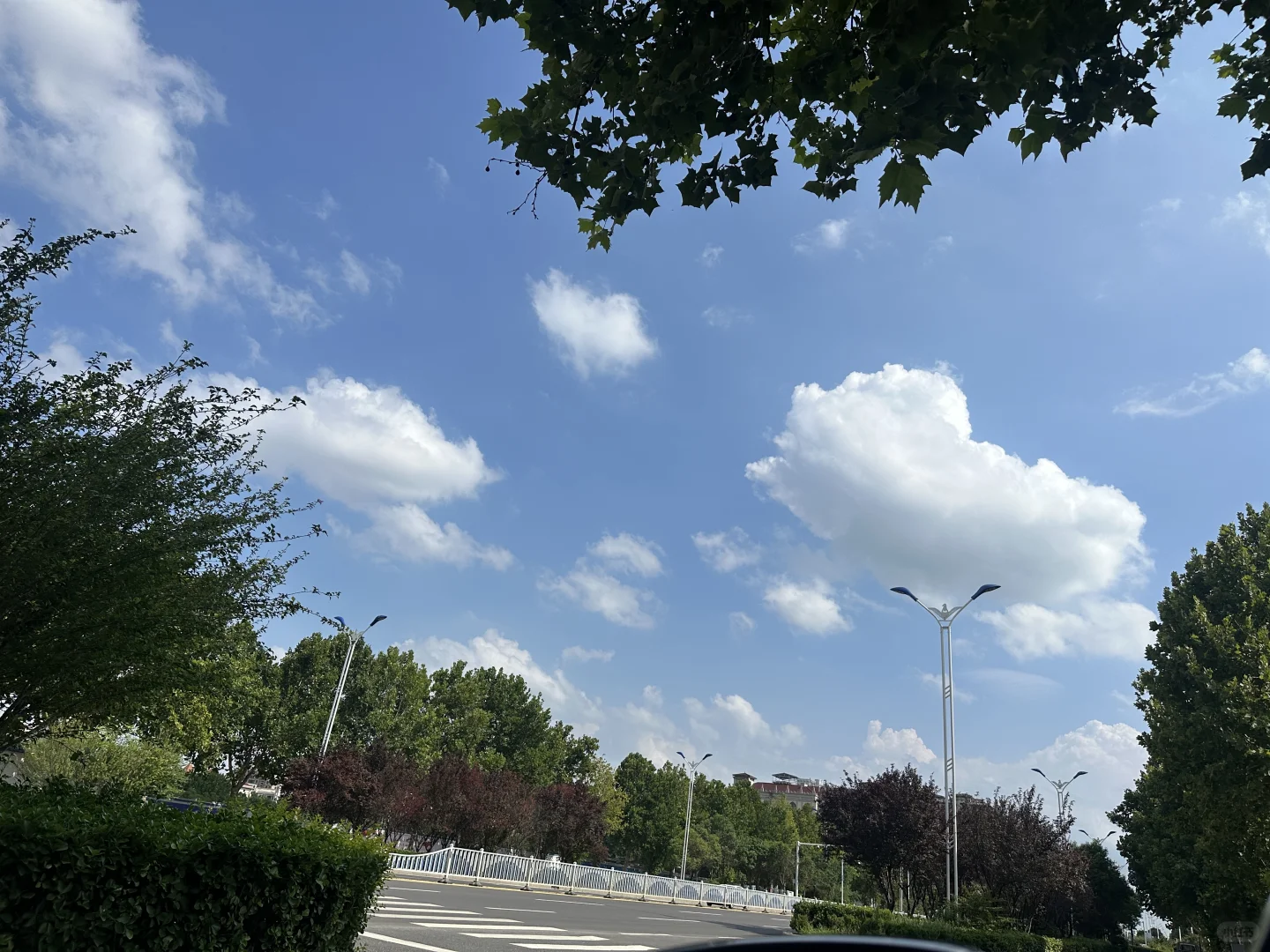 原阳县招聘工作啦