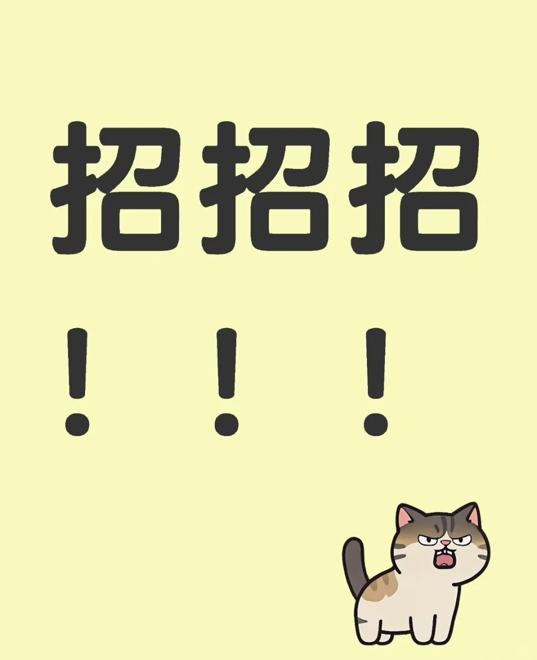 长春招聘会计一名！！