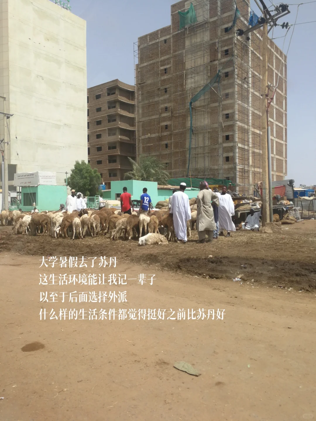 非洲外派工作怎么找？看这里就够啦