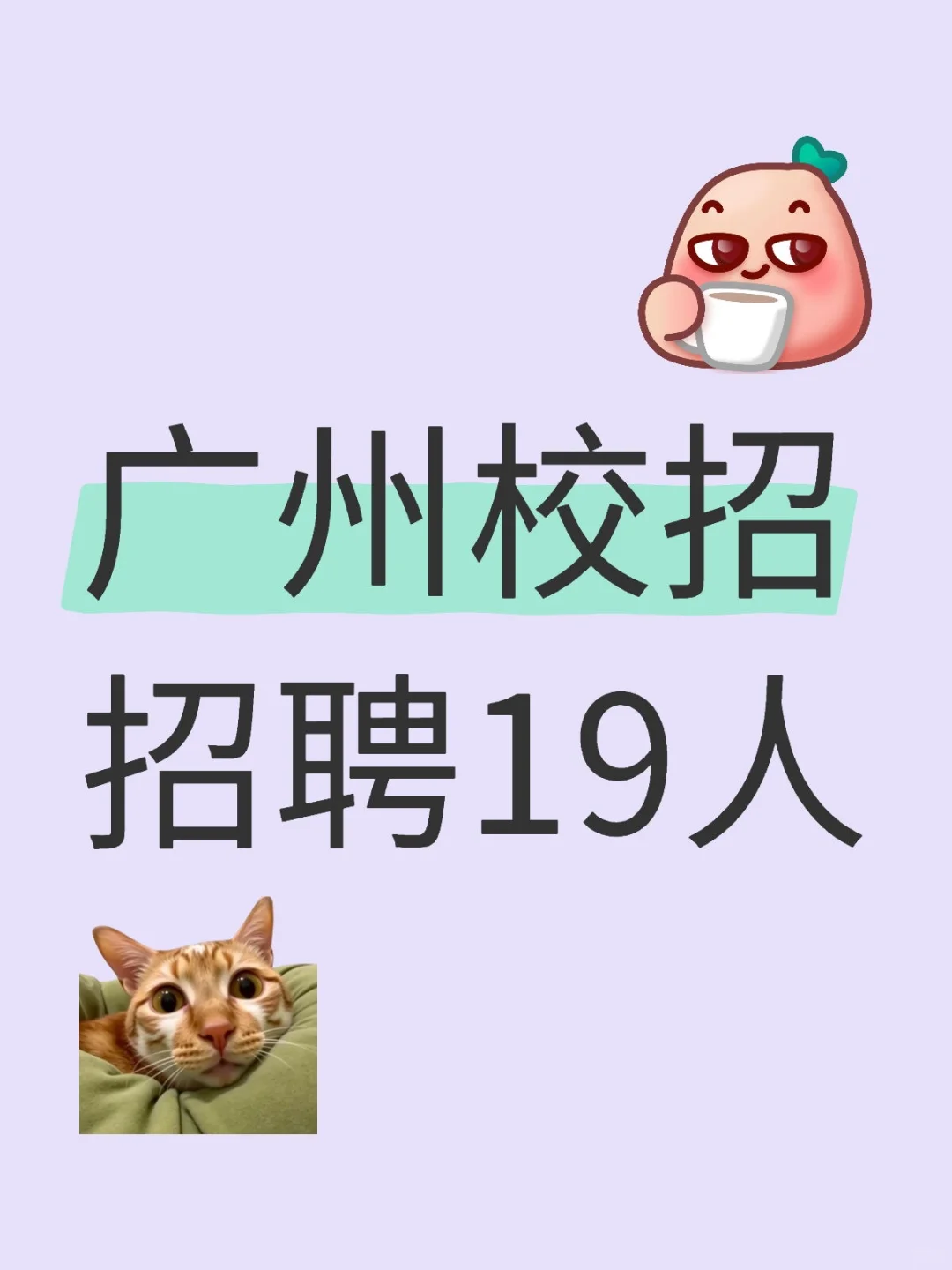 广州校招招聘19人，快看