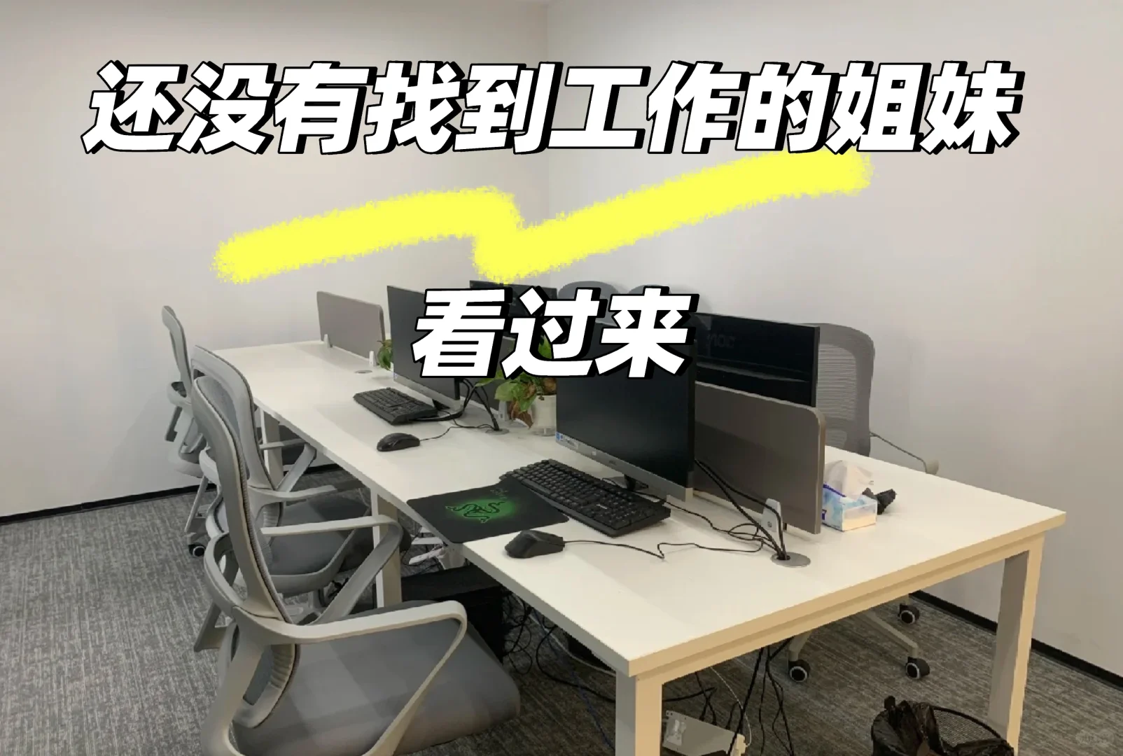 公司扩充需要大量人才！！