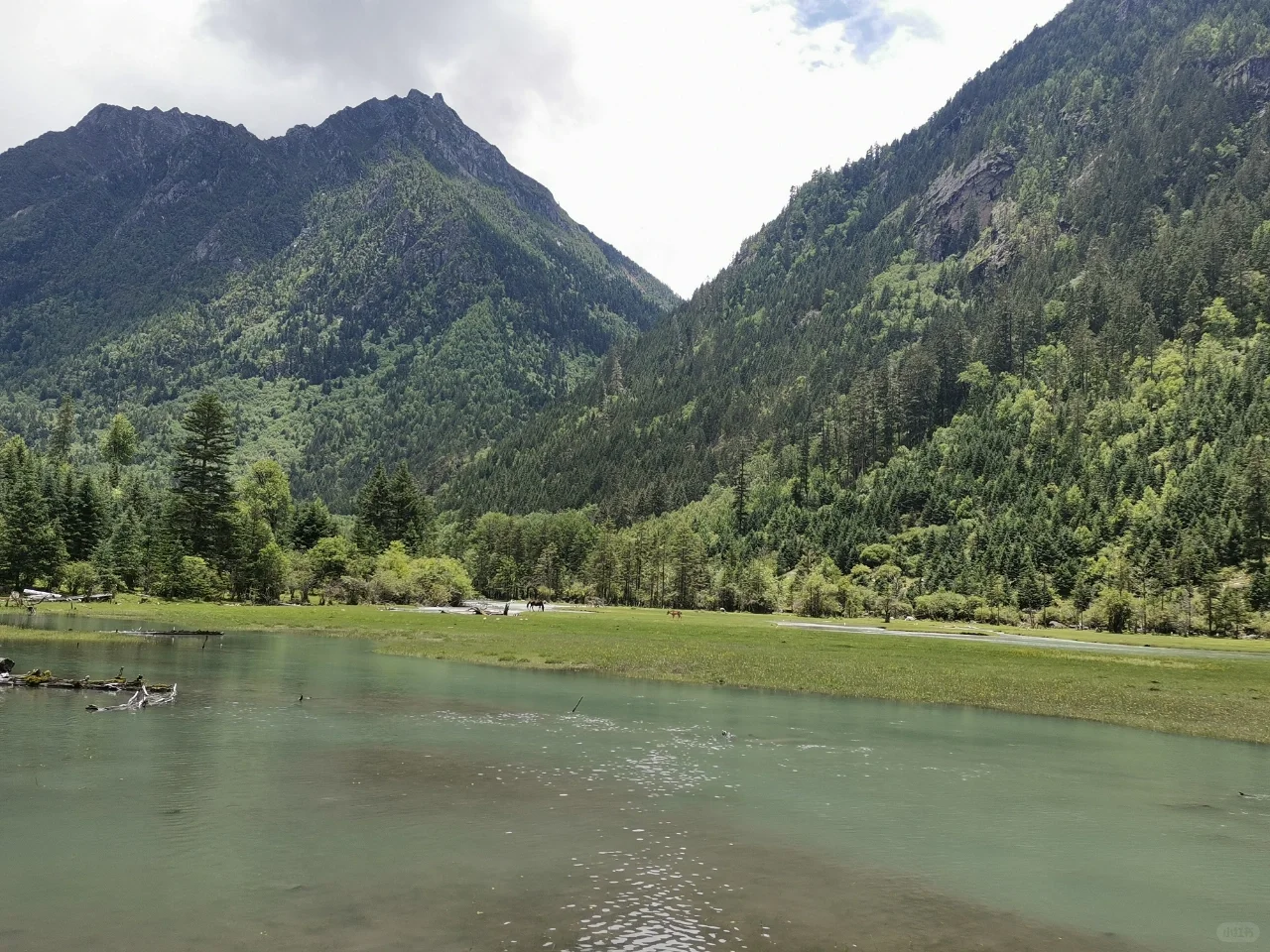 租房公司招聘一个文职