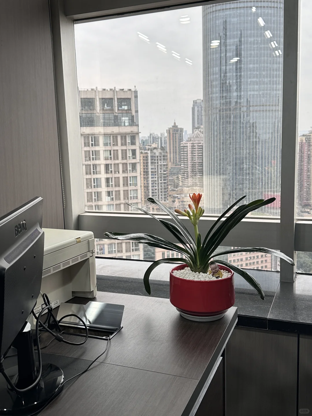 招人啦！欢迎个人和团队来！