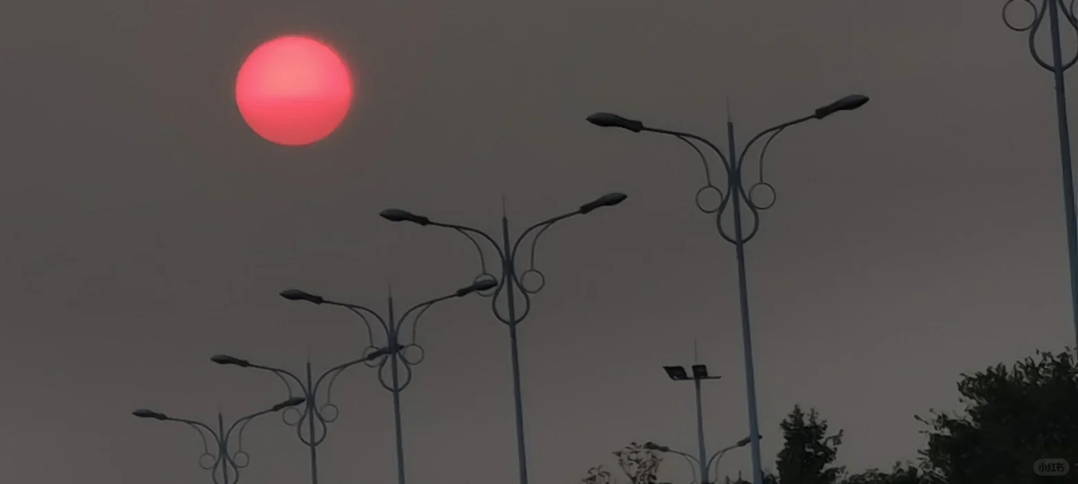 藤县找工作的姐姐看过来！！！