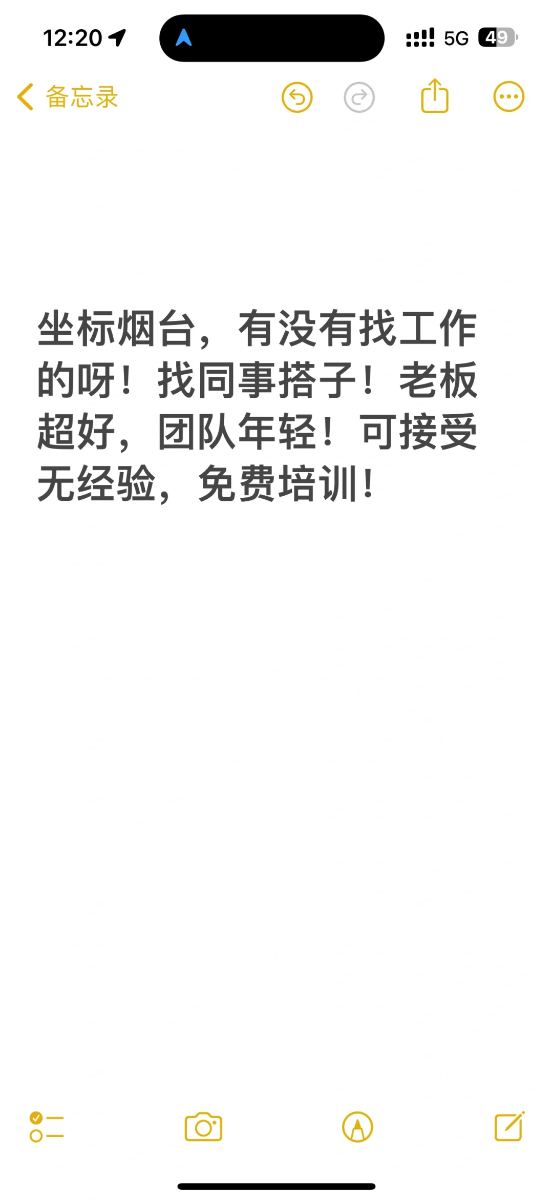 坐标烟台，招同事搭子！接收小白