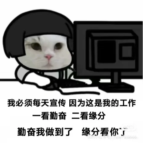 招聘 话不多说 看图