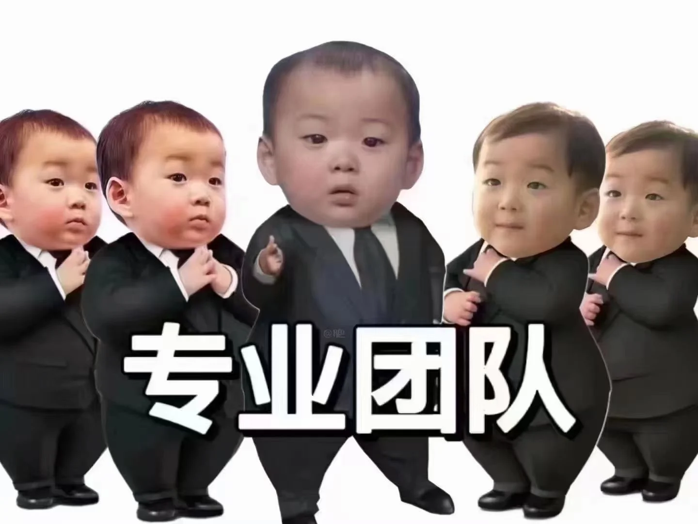 就业指导
