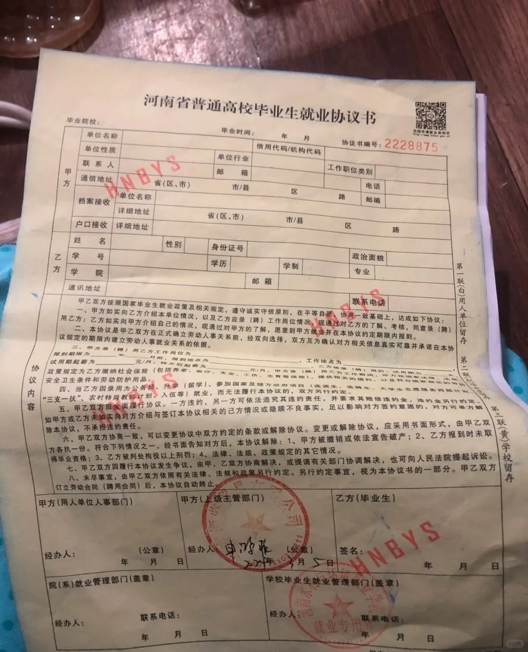 就业指导