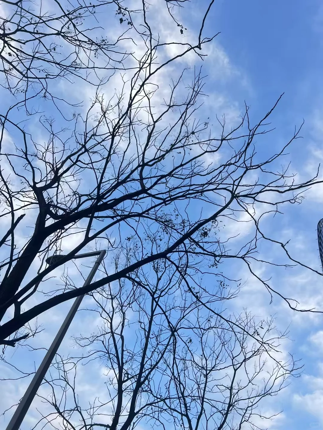 找工作的本质:是看公司缺不缺人（一）