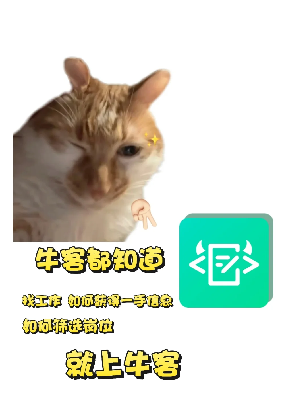 找工作的本质:是看公司缺不缺人（一）