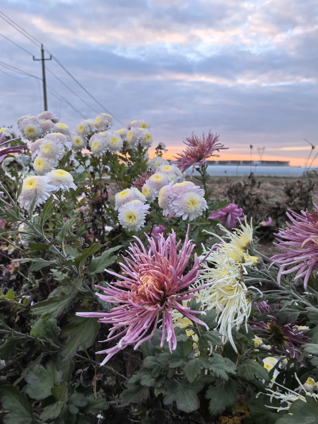 招聘:有没有农业专业找工作的啊