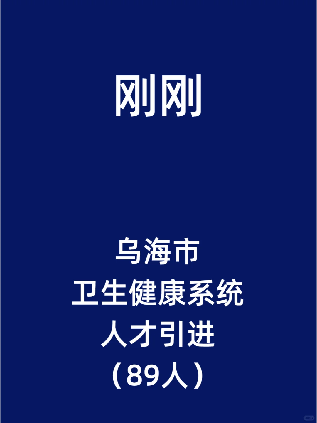 乌海市卫生健康系统人才引进（89人）