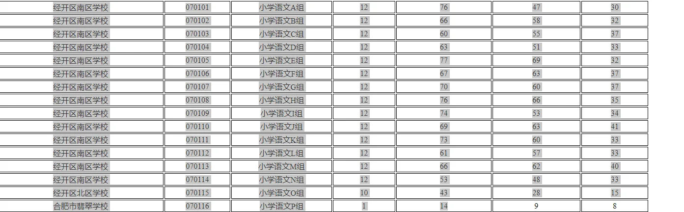 25年合肥教招小语经开区选组技巧