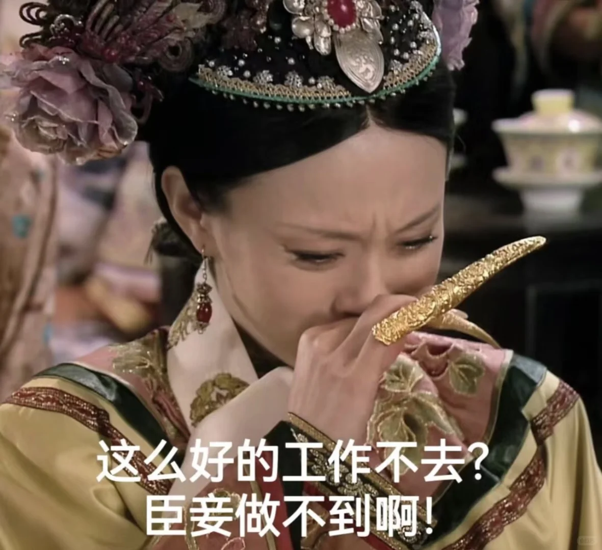 重生之找工作记📝