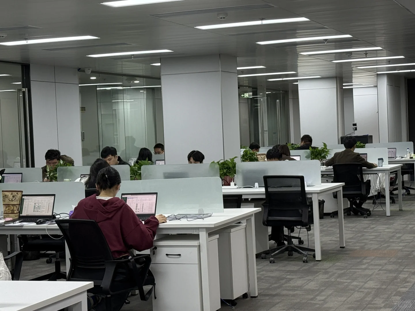 🌟在合肥找到我的神仙公司！销售岗位