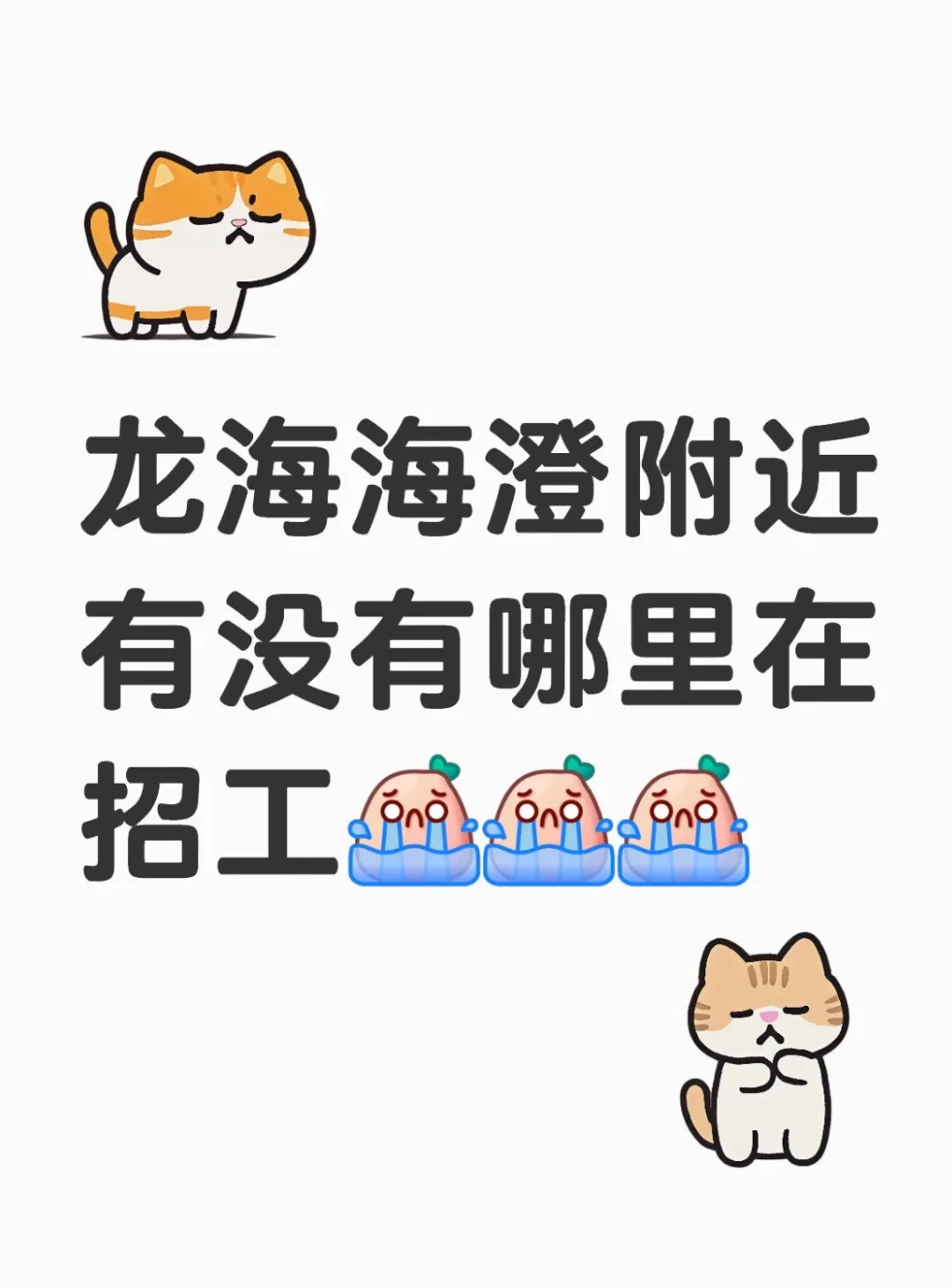 有没有海澄附近的招聘呀，有没有龙海招聘群