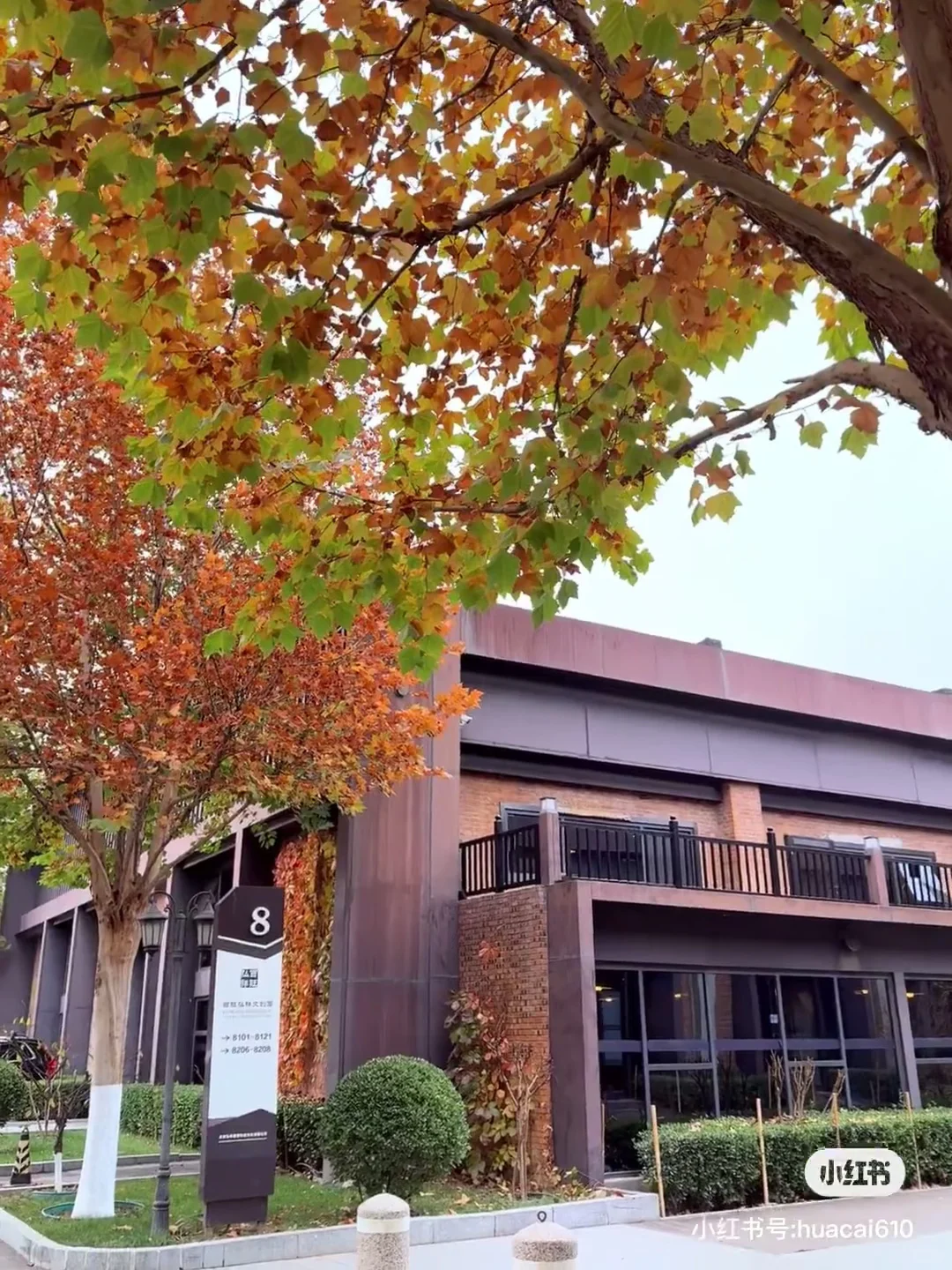 字节离职后在北京开了一家传媒公司！招主播