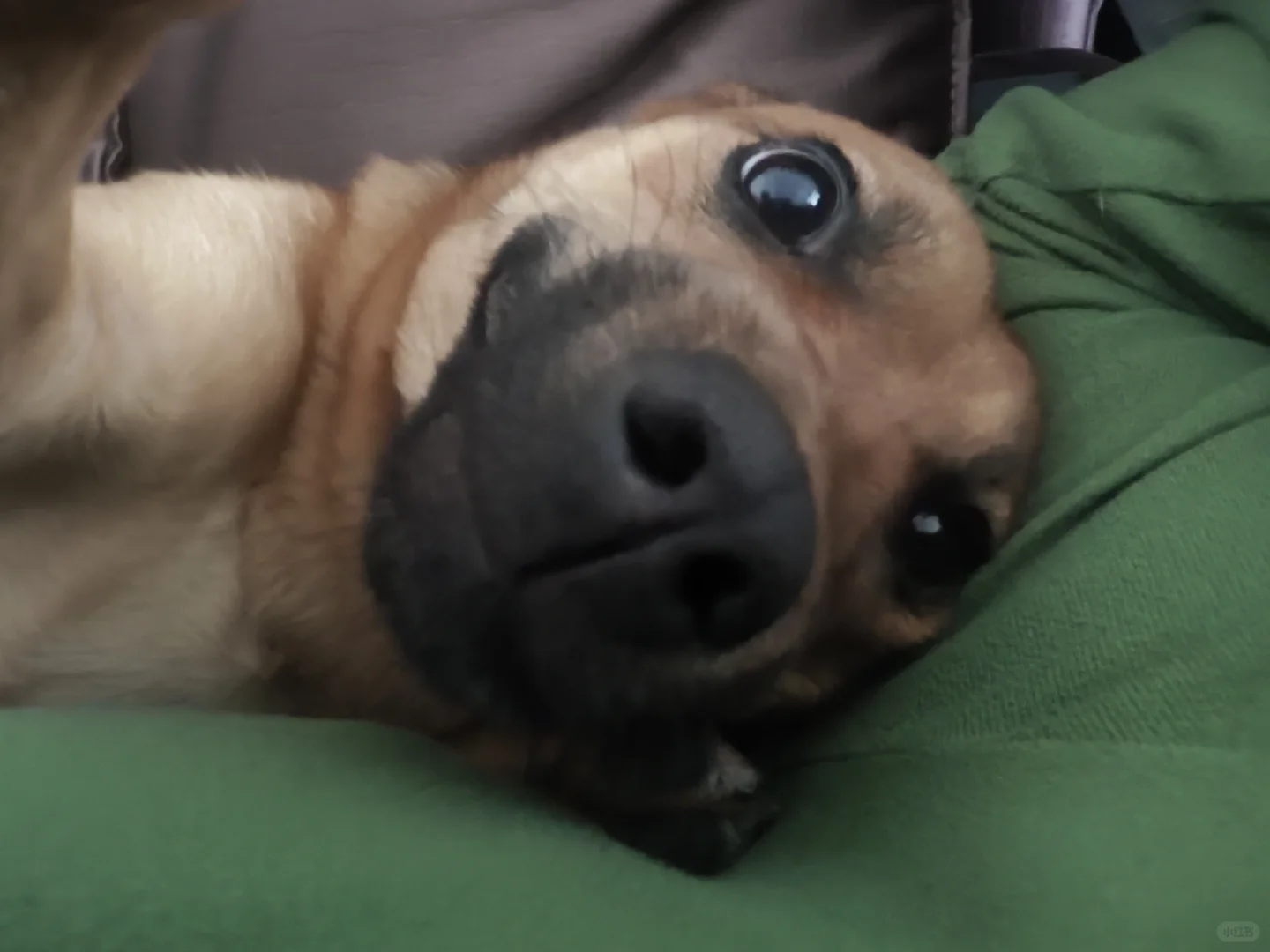 济宁市医学检验招聘