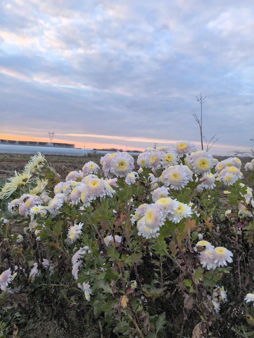 招聘:有没有农业专业找工作的啊