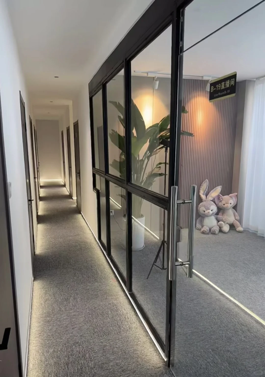 字节离职后在北京开了一家传媒公司！招主播