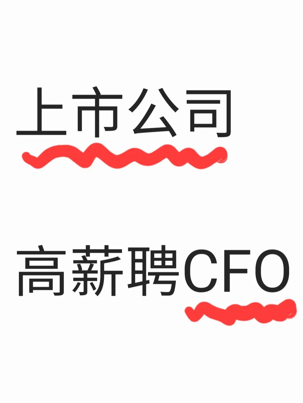 想挑战高薪的看过来：聘CFO