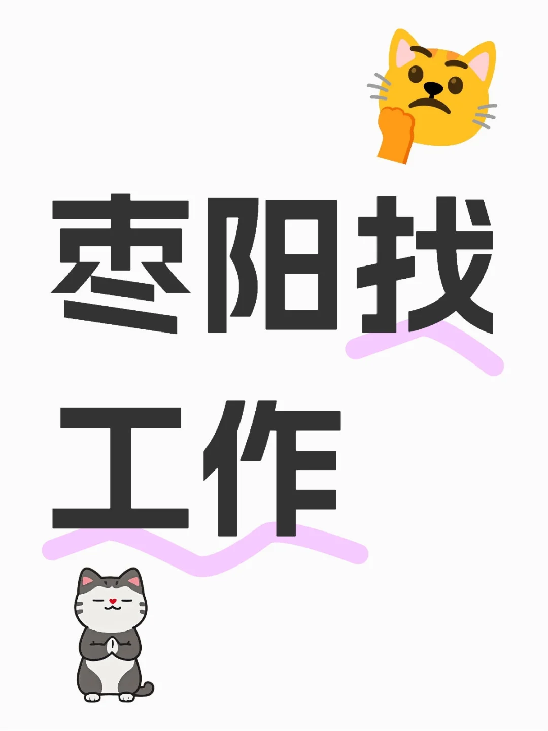 老板叫我来小红书试试