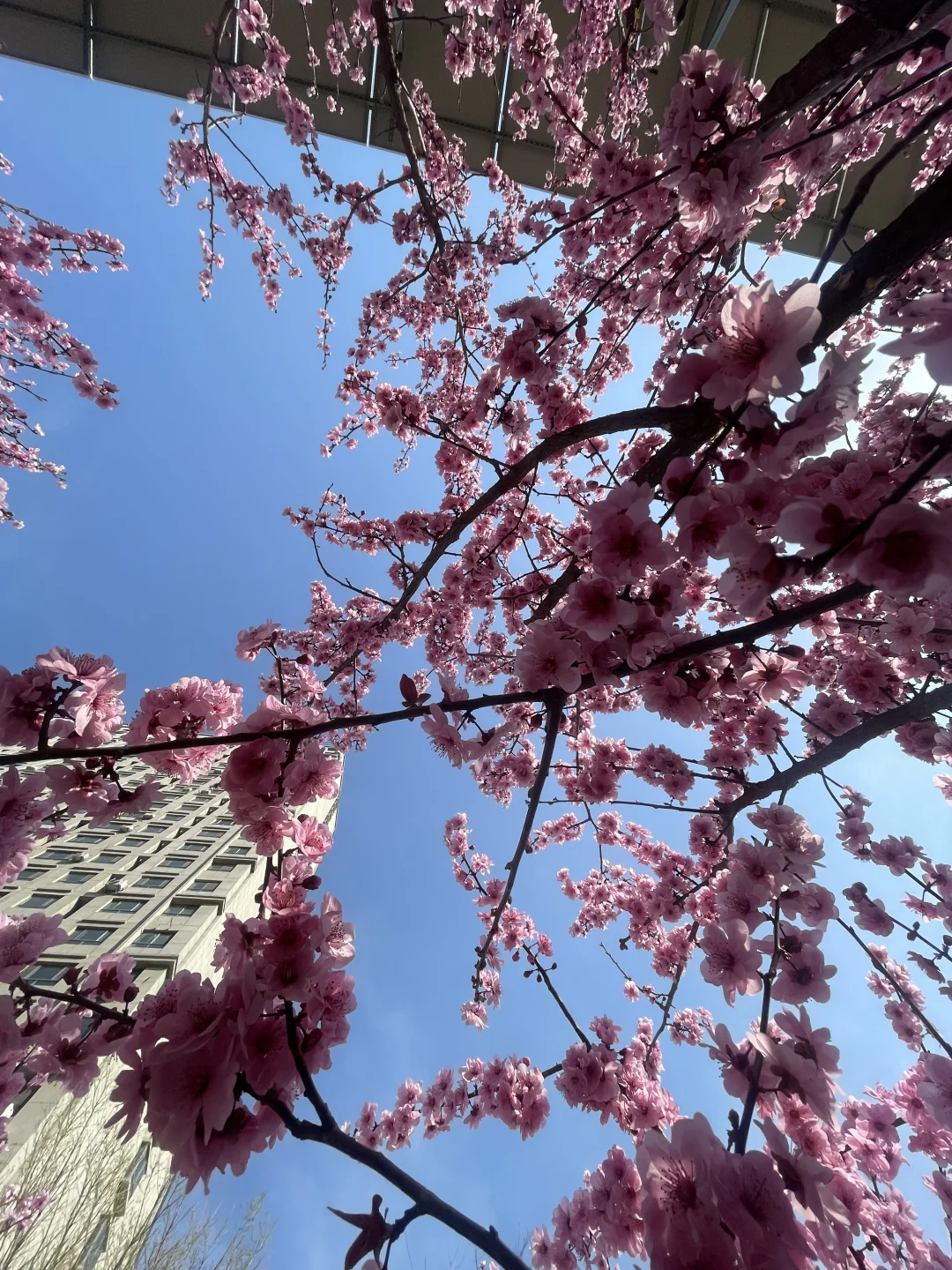 泰安西招聘办公室内勤，不销售