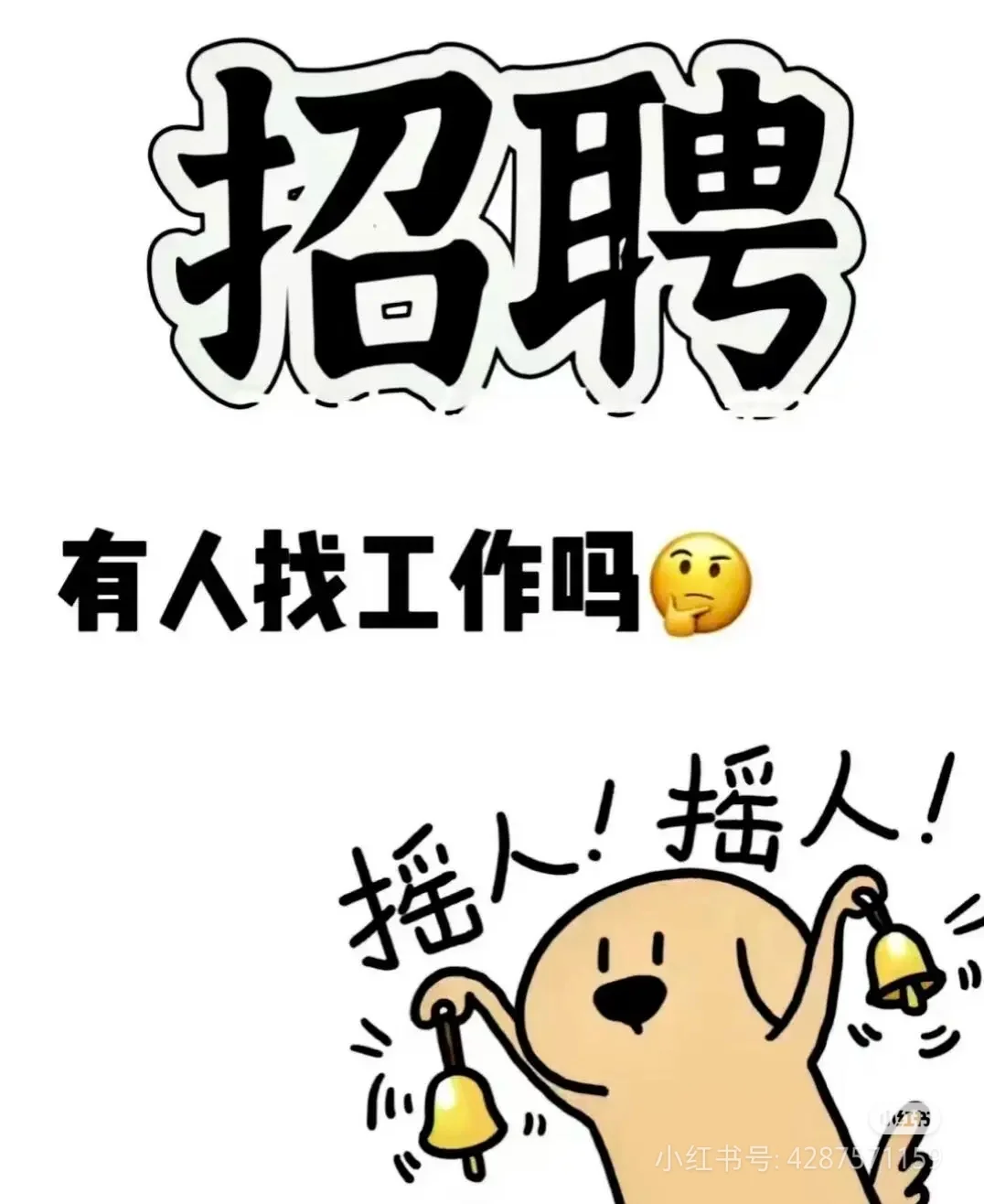 黑龙江小县城招聘宠物医生