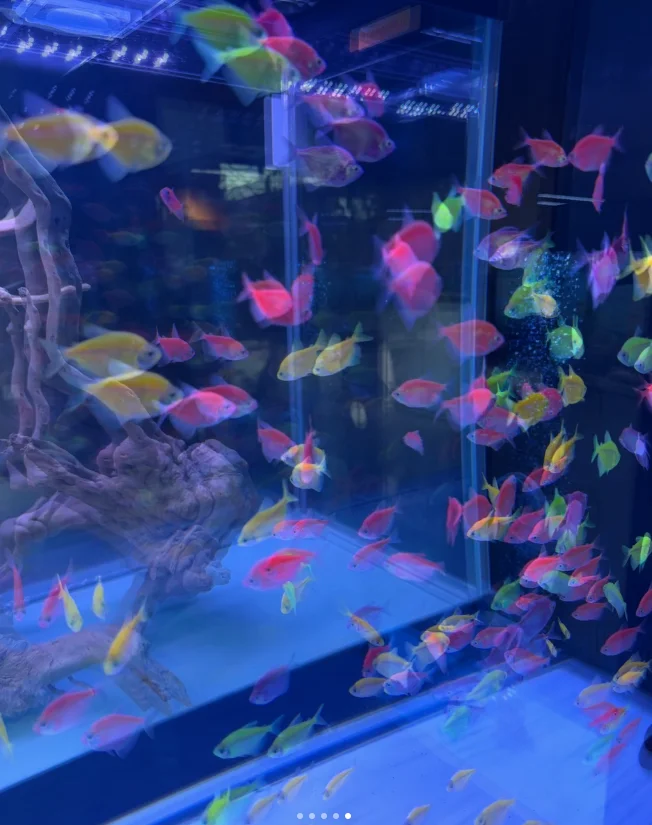 招聘招聘双休外贸业务员