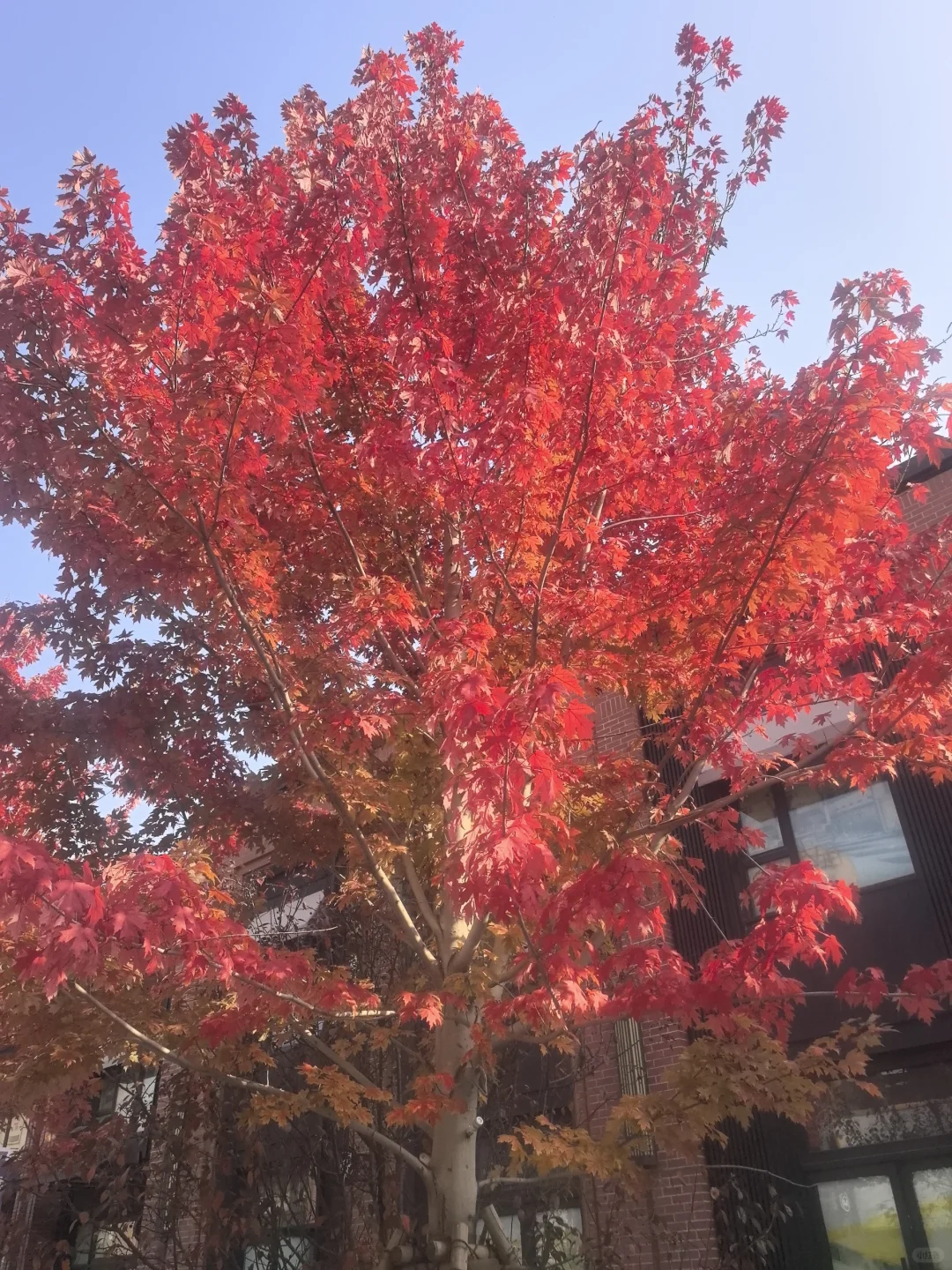 沈阳招聘超市业务员