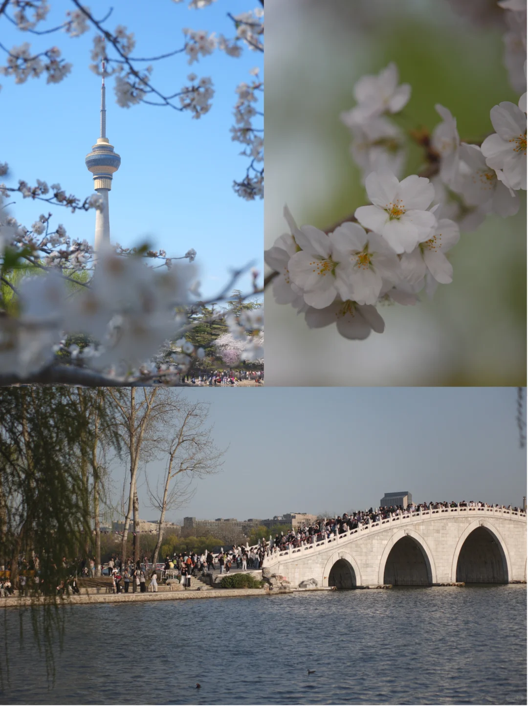 工信事业单位招聘笔试题目回忆