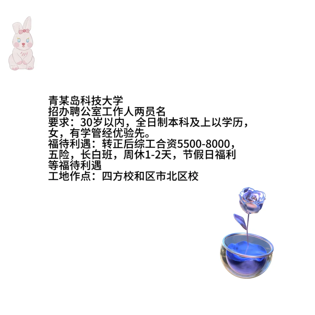 青某岛‬科技大学招办聘‬公室工作人两员‬