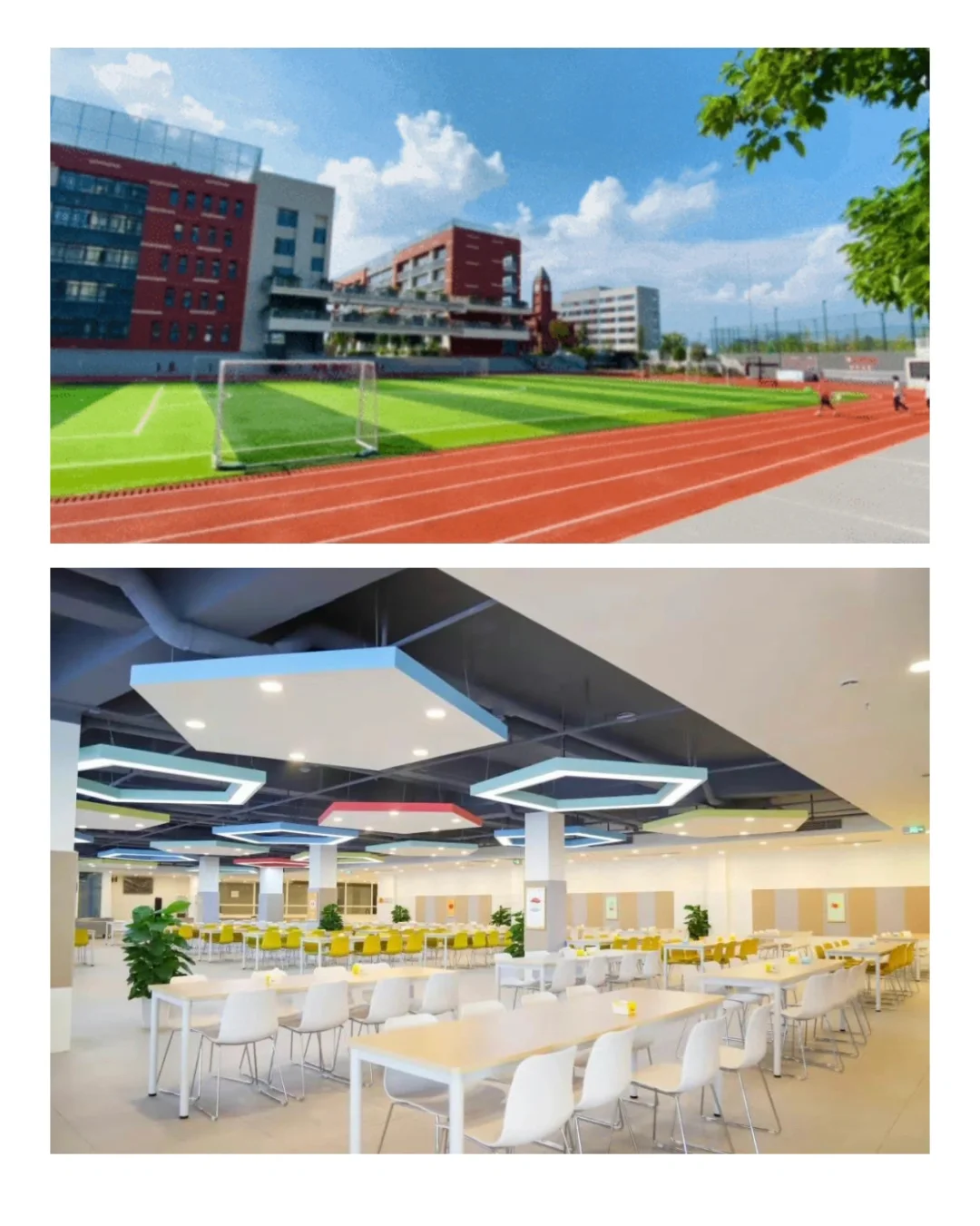 成都华爱学校教师招聘